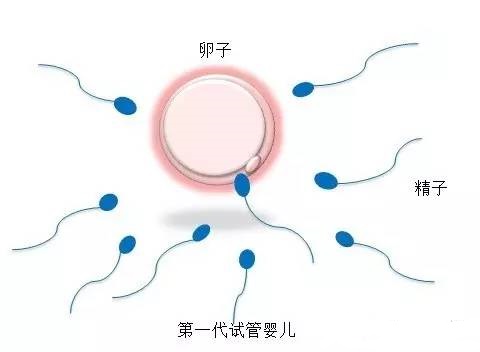 实验室 Fig.01